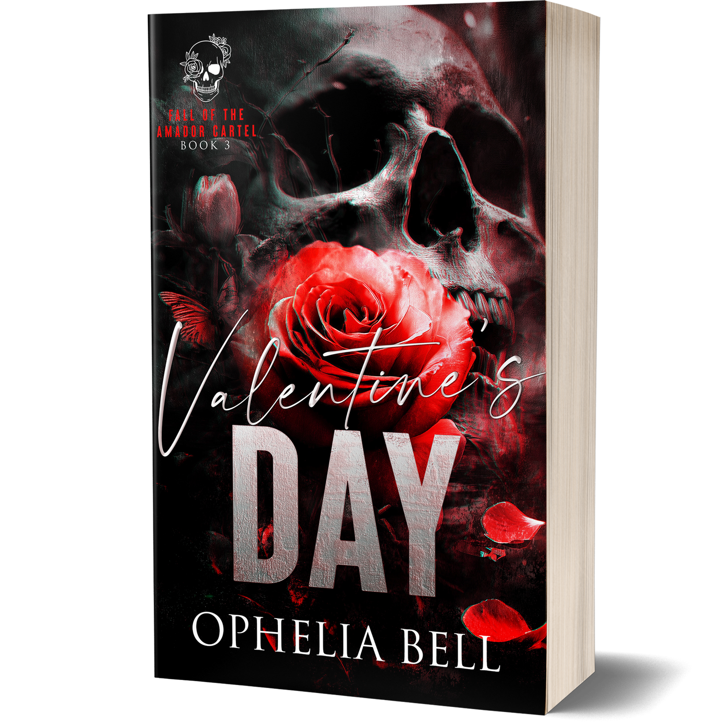 Valentine's Day - Discreet Paperback