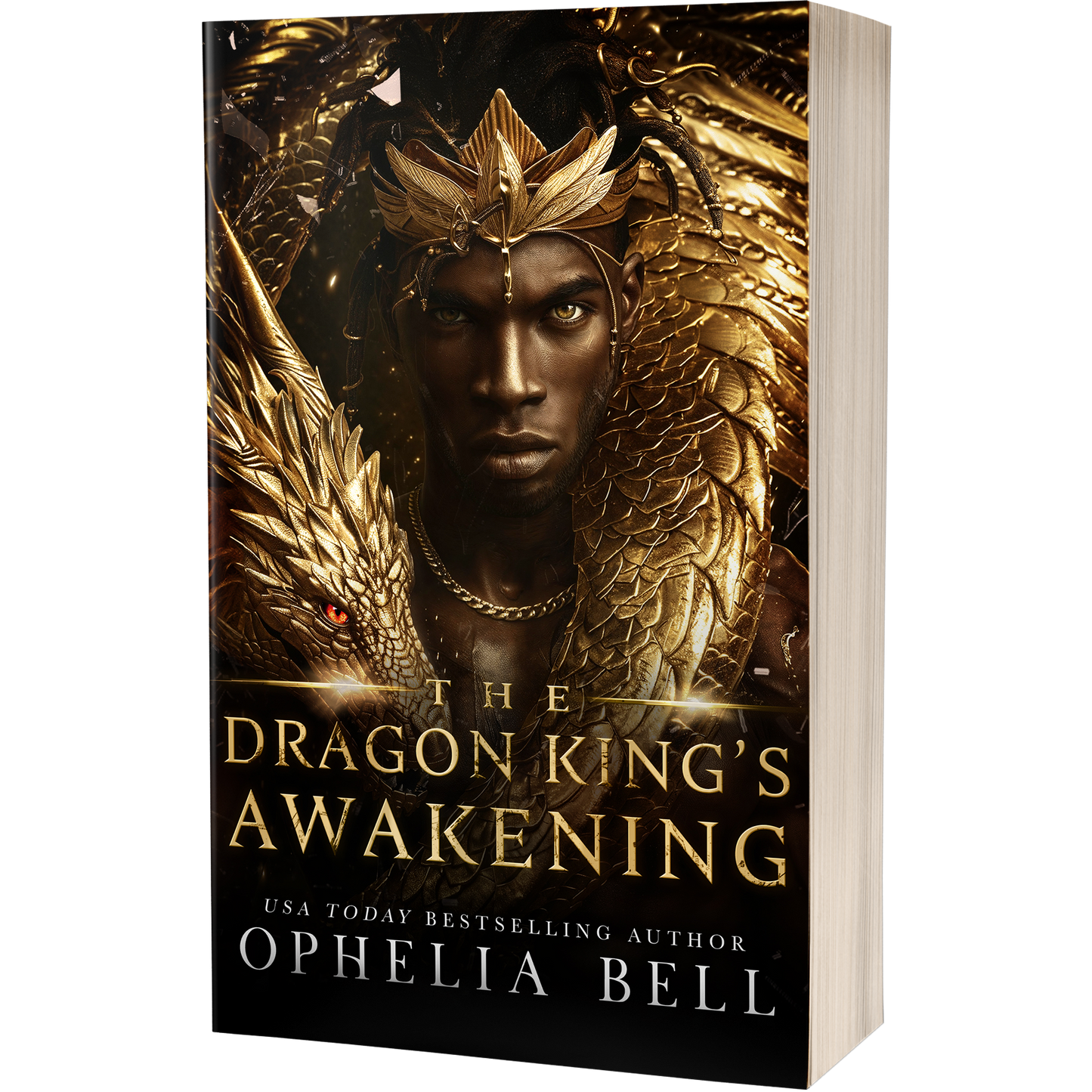 The Dragon King's Awakening - Paperback