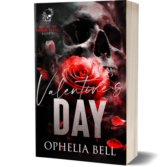 Valentine's Day - Discreet Paperback