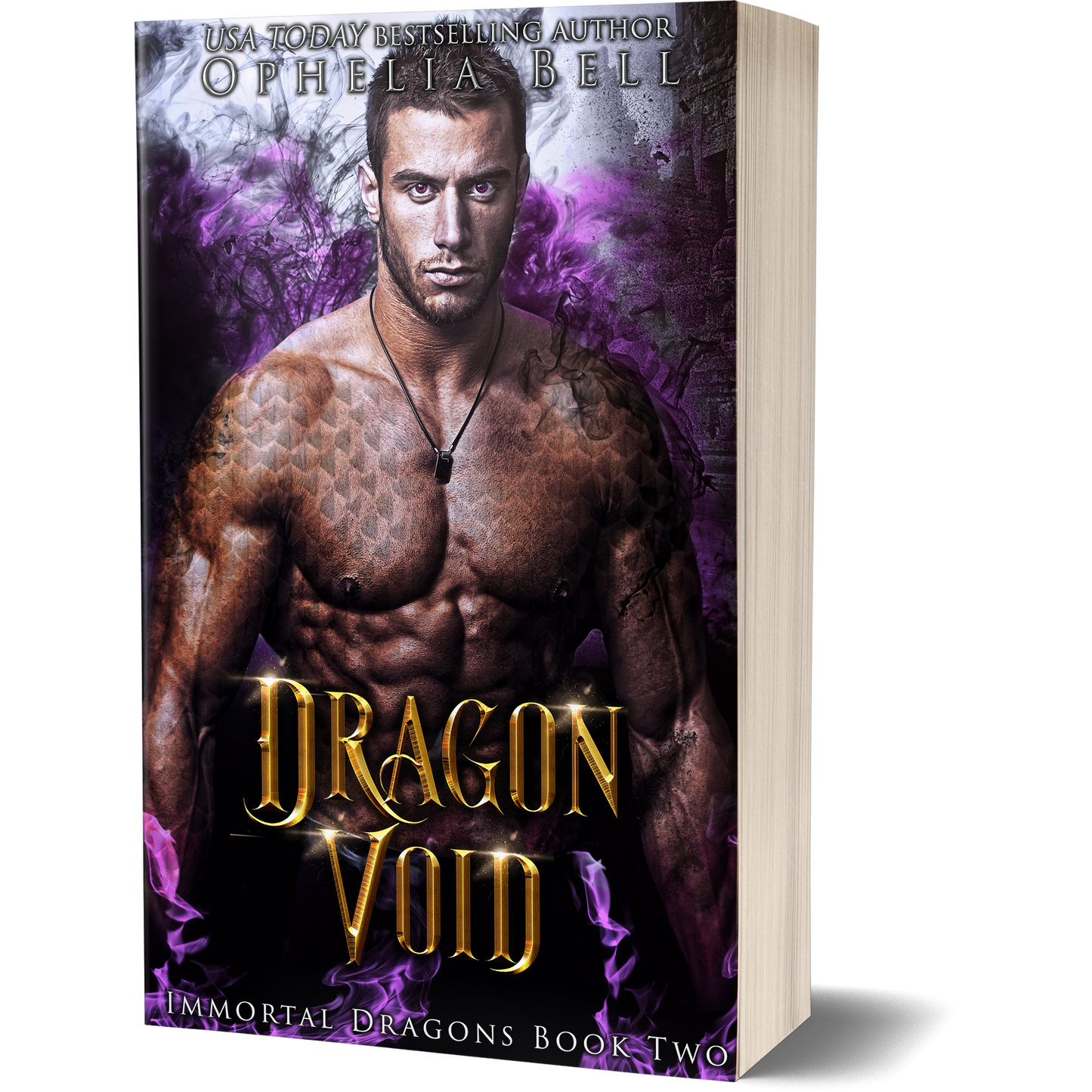 Dragon Void - Paperback